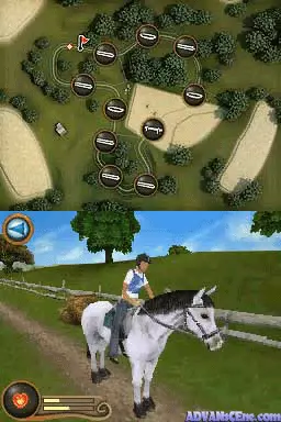 Image n° 3 - screenshots : Horse & Foal - My Riding Stables - Life with Horses